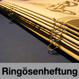 dringoesenheftung